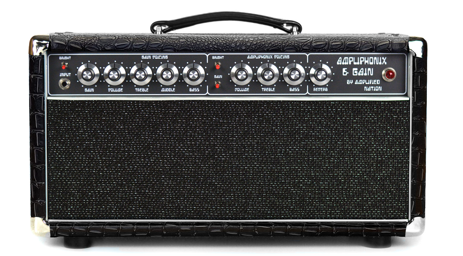 Ampliphonix and Gain - 100W Head - 120v