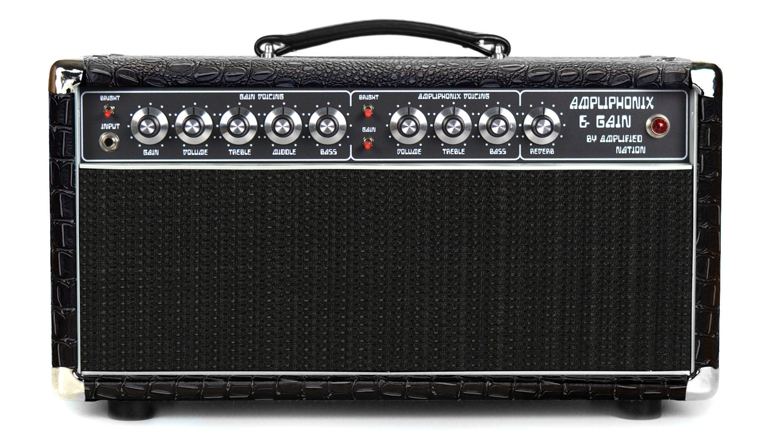 Ampliphonix and Gain - 100W Head - 120v