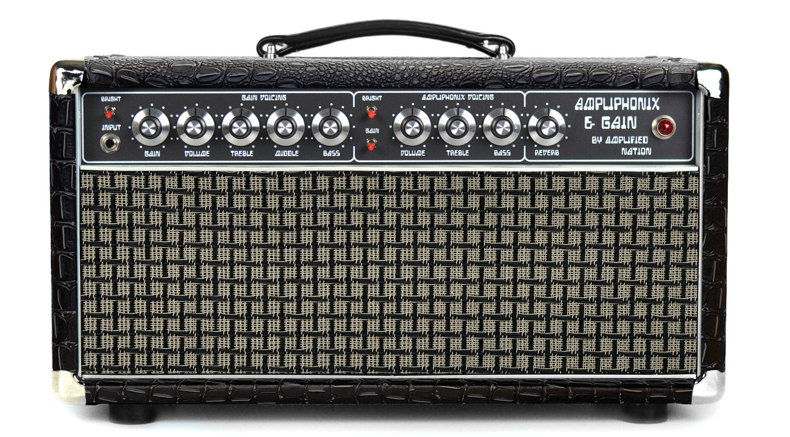 Ampliphonix and Gain - 100W Head - 120v