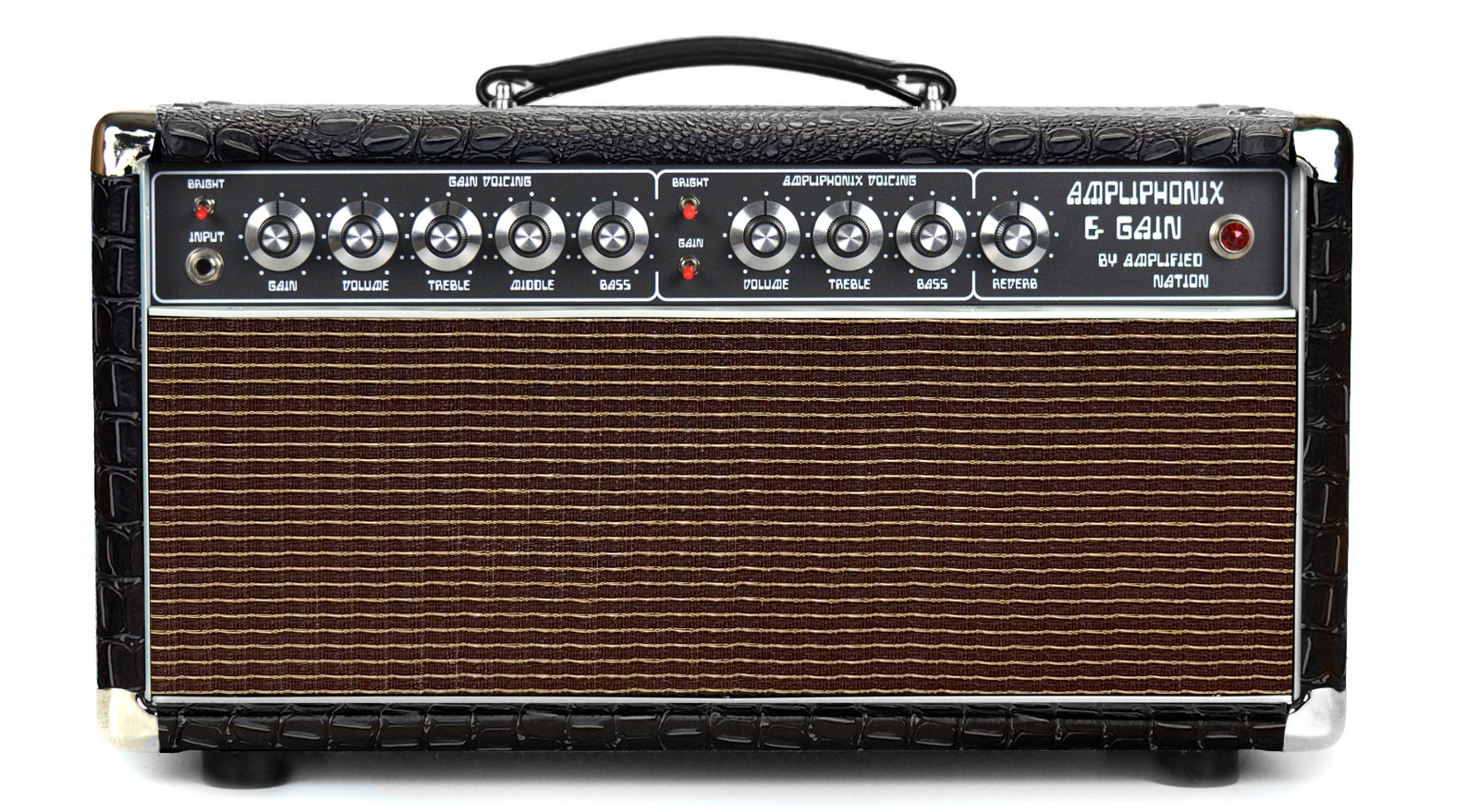 Ampliphonix and Gain - 100W Head - 120v