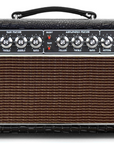 Ampliphonix and Gain - 100W Head - 120v