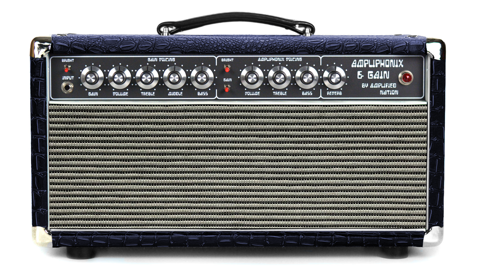 Ampliphonix and Gain - 100W Head - 120v