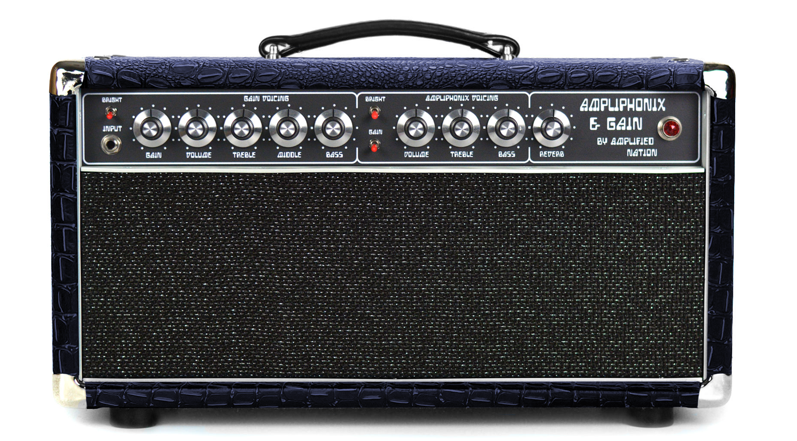 Ampliphonix and Gain - 100W Head - 120v