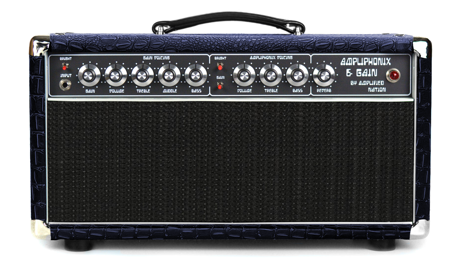 Ampliphonix and Gain - 100W Head - 120v