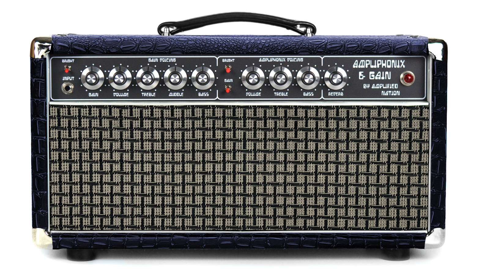 Ampliphonix and Gain - 100W Head - 120v
