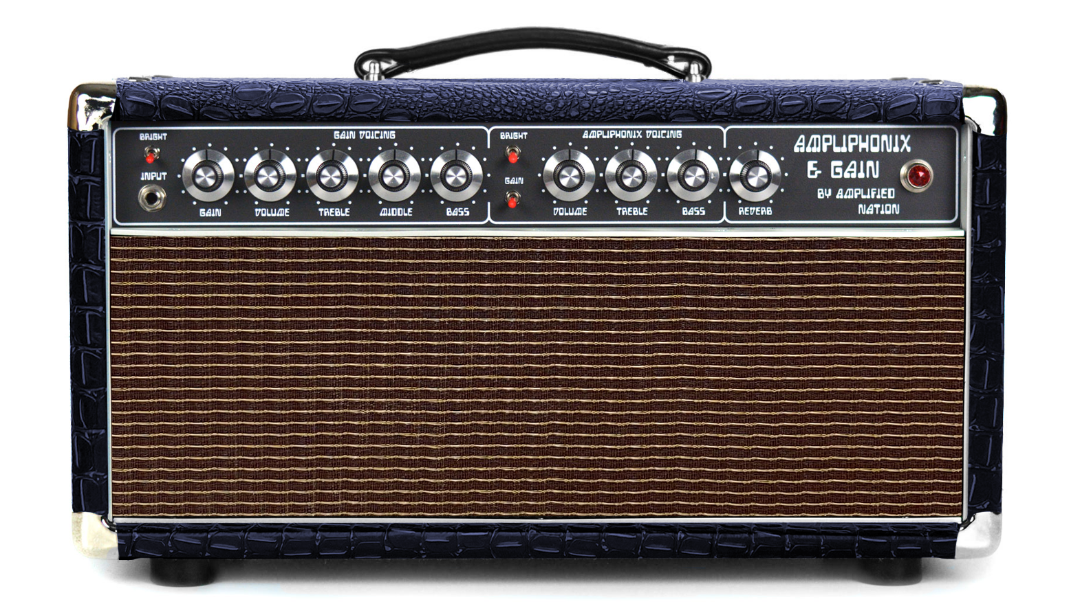 Ampliphonix and Gain - 100W Head - 120v