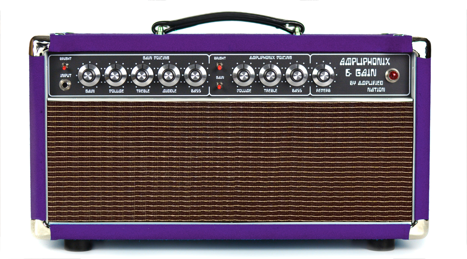 Ampliphonix and Gain - 100W Head - 120v
