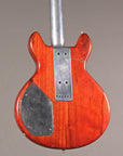 HOLD 1976 Travis Bean TB1000S