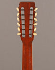 1970 Martin D-12-35