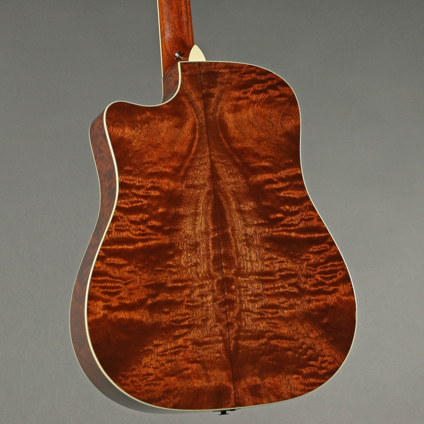 2012 Taylor DNce-FLTD Fall Limited Edition