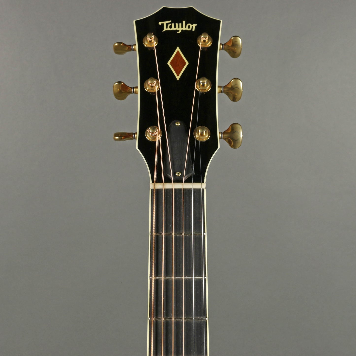 2012 Taylor DNce-FLTD Fall Limited Edition