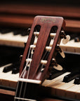 1969 Martin N-20