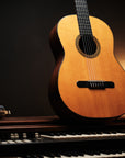 1969 Martin N-20