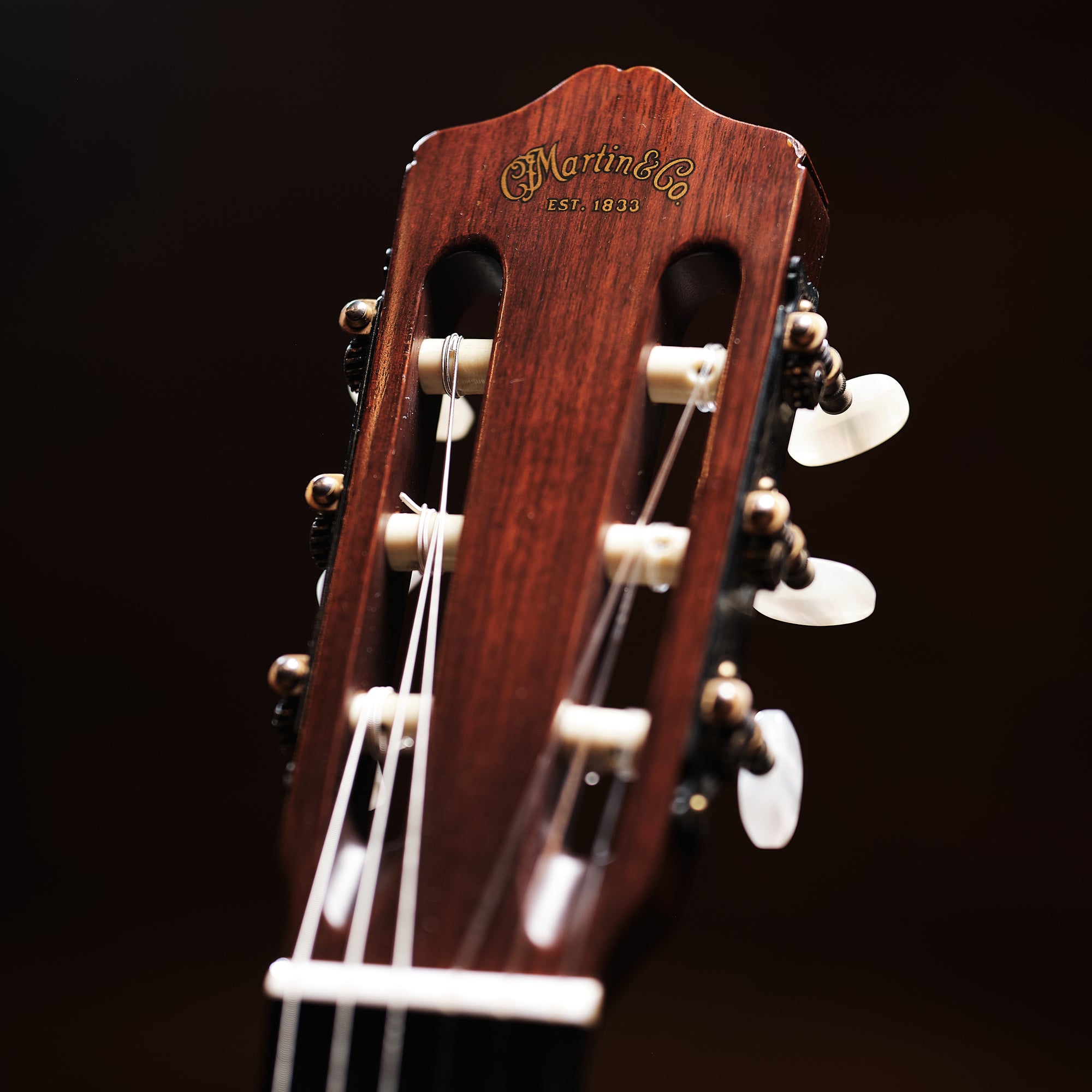 1970 Martin N-20
