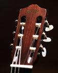 1970 Martin N-20