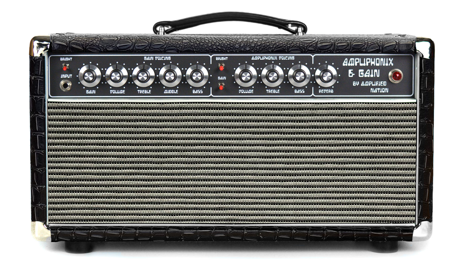 Ampliphonix and Gain - 22W Head - 230V