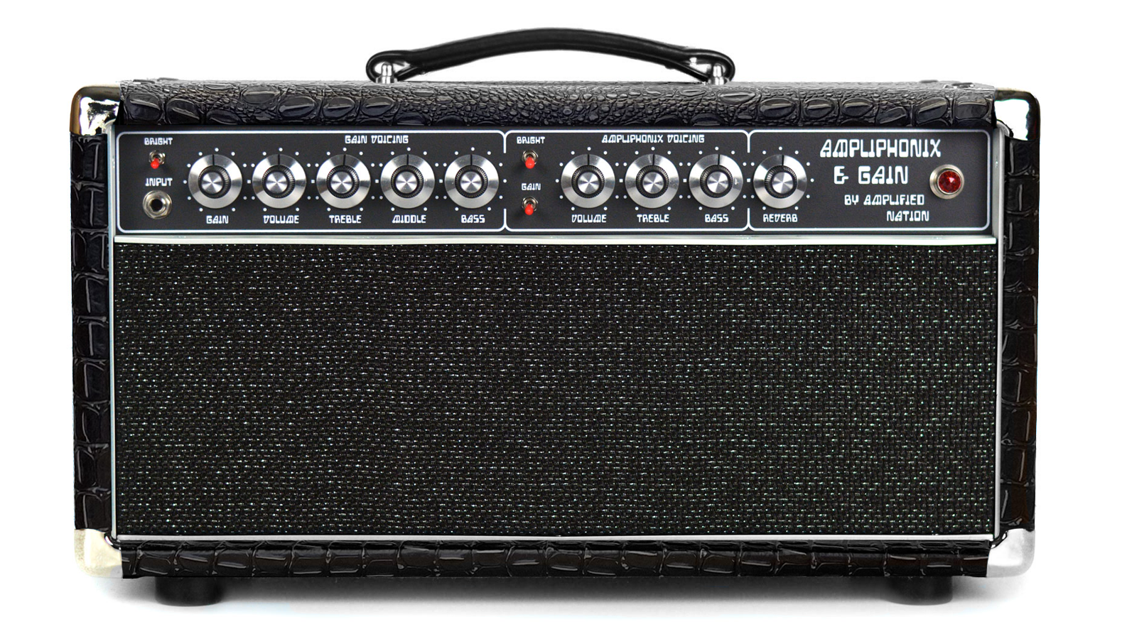 Ampliphonix and Gain - 22W Head - 120V