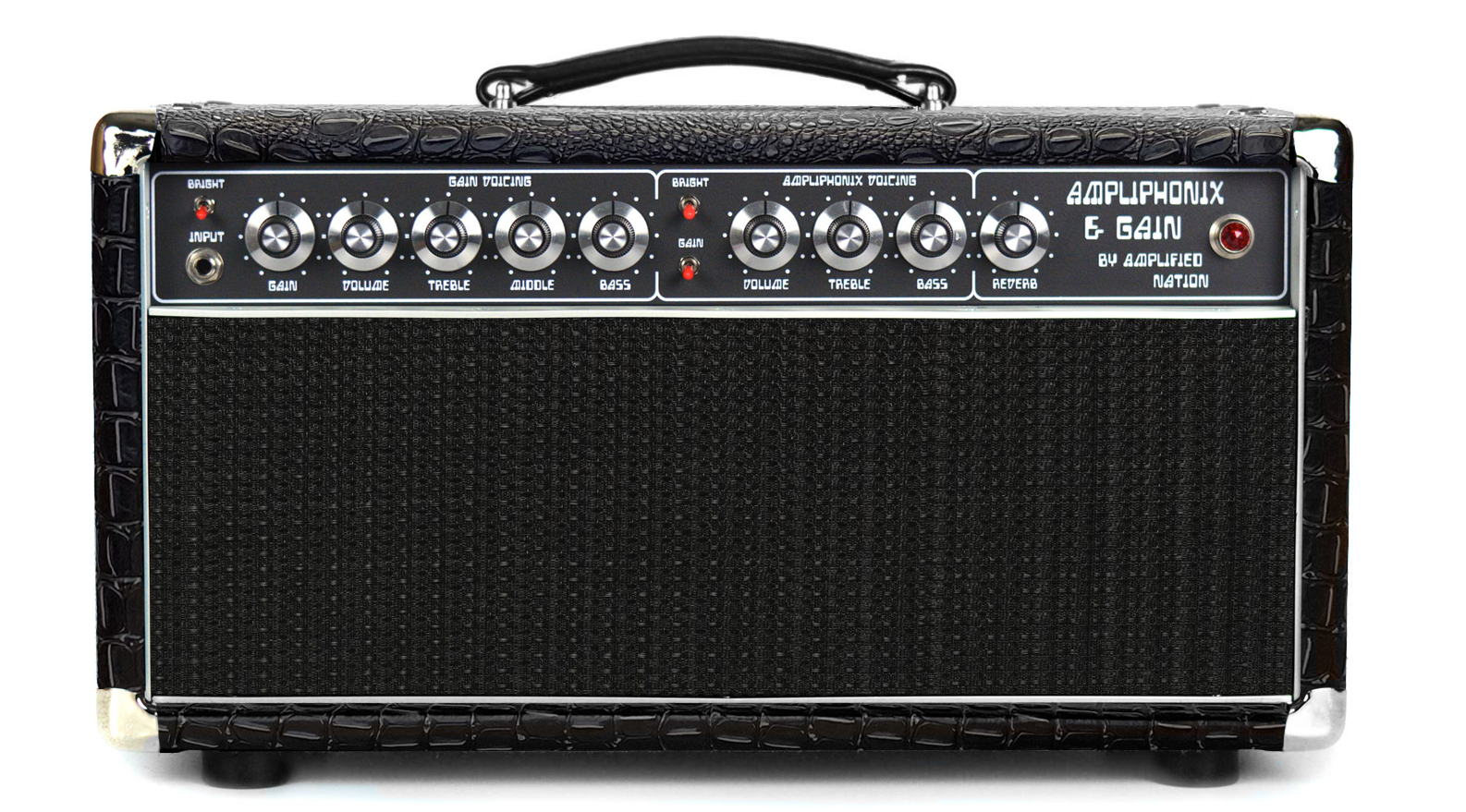 Ampliphonix and Gain - 22W Head - 120V