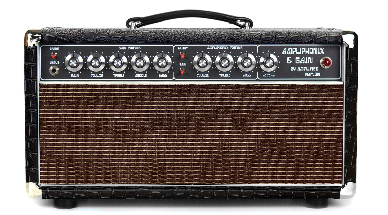 Ampliphonix and Gain - 22W Head - 120V