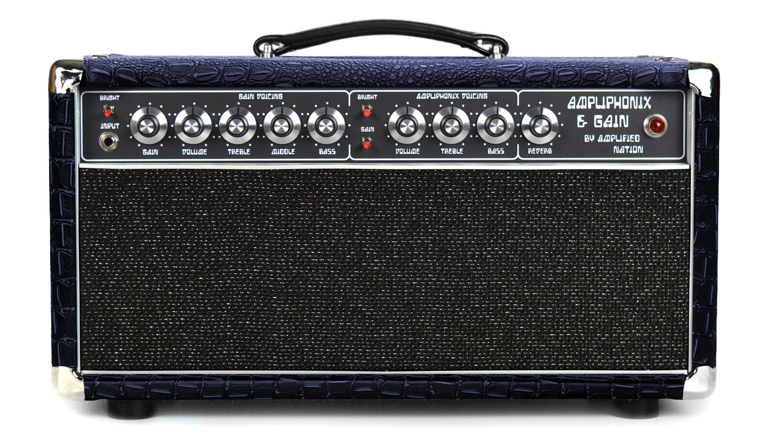 Ampliphonix and Gain - 22W Head - 120V