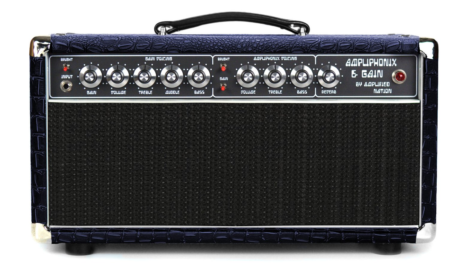 Ampliphonix and Gain - 22W Head - 120V