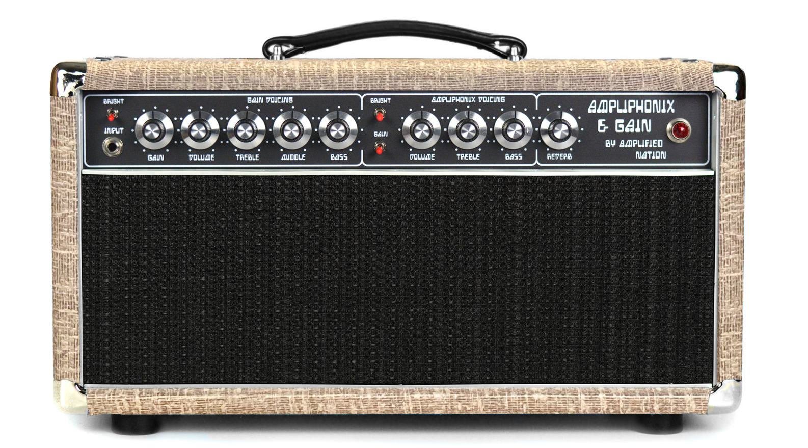 Ampliphonix and Gain - 22W Head - 120V