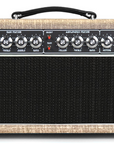 Ampliphonix and Gain - 22W Head - 120V