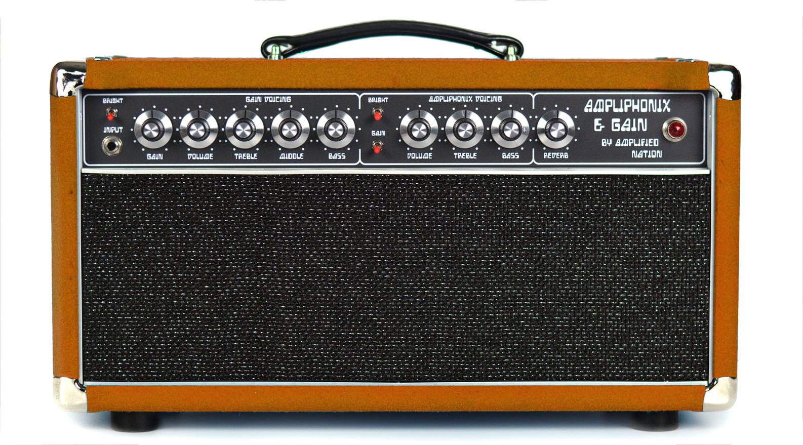 Ampliphonix and Gain - 22W Head - 120V