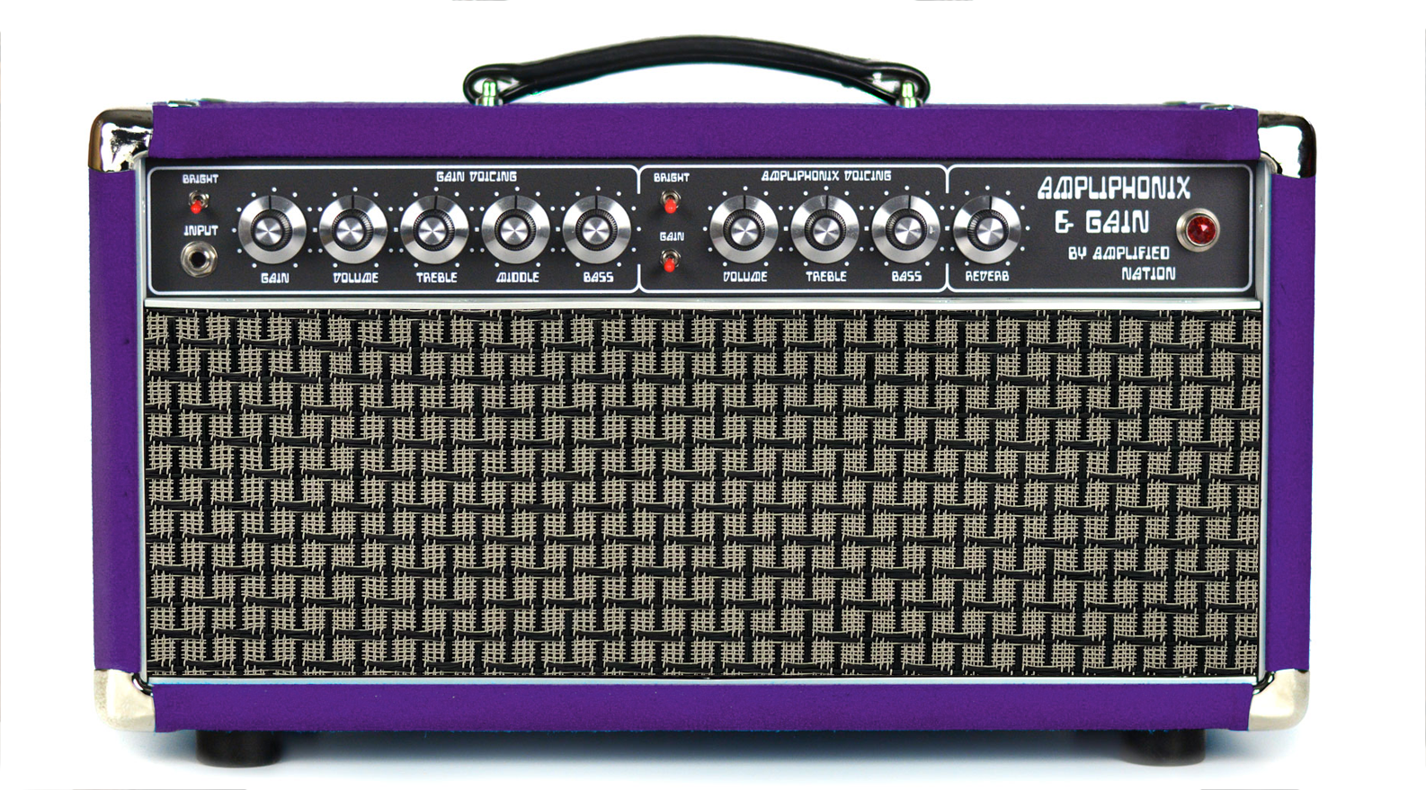 Ampliphonix and Gain - 22W Head - 120V