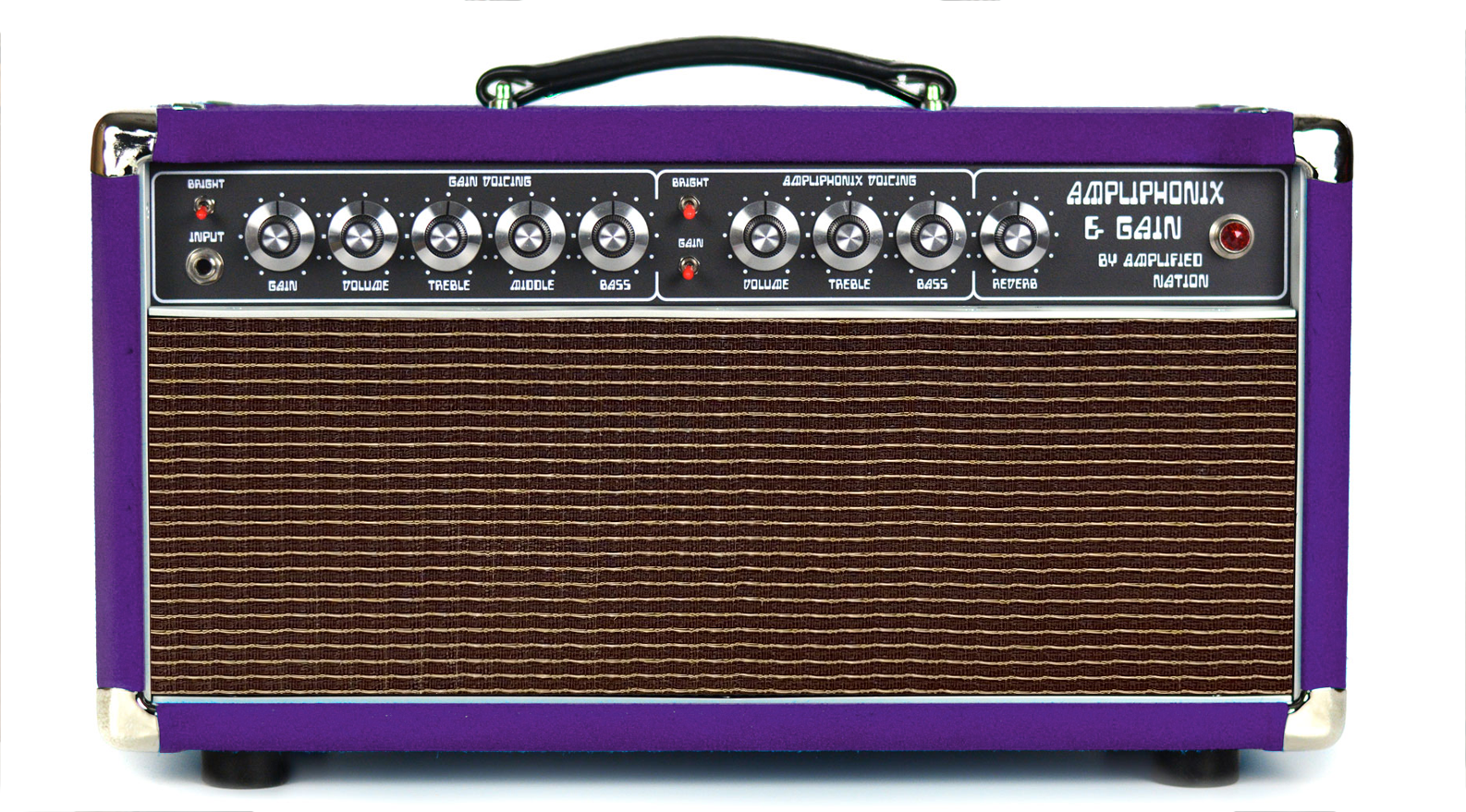 Ampliphonix and Gain - 22W Head - 120V