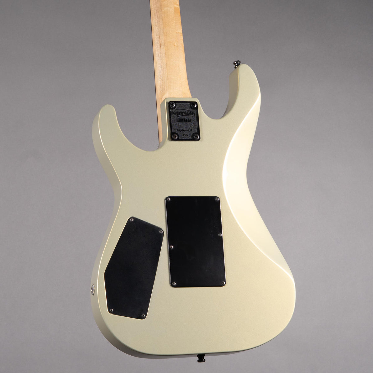 1989 Kramer American Sustainer