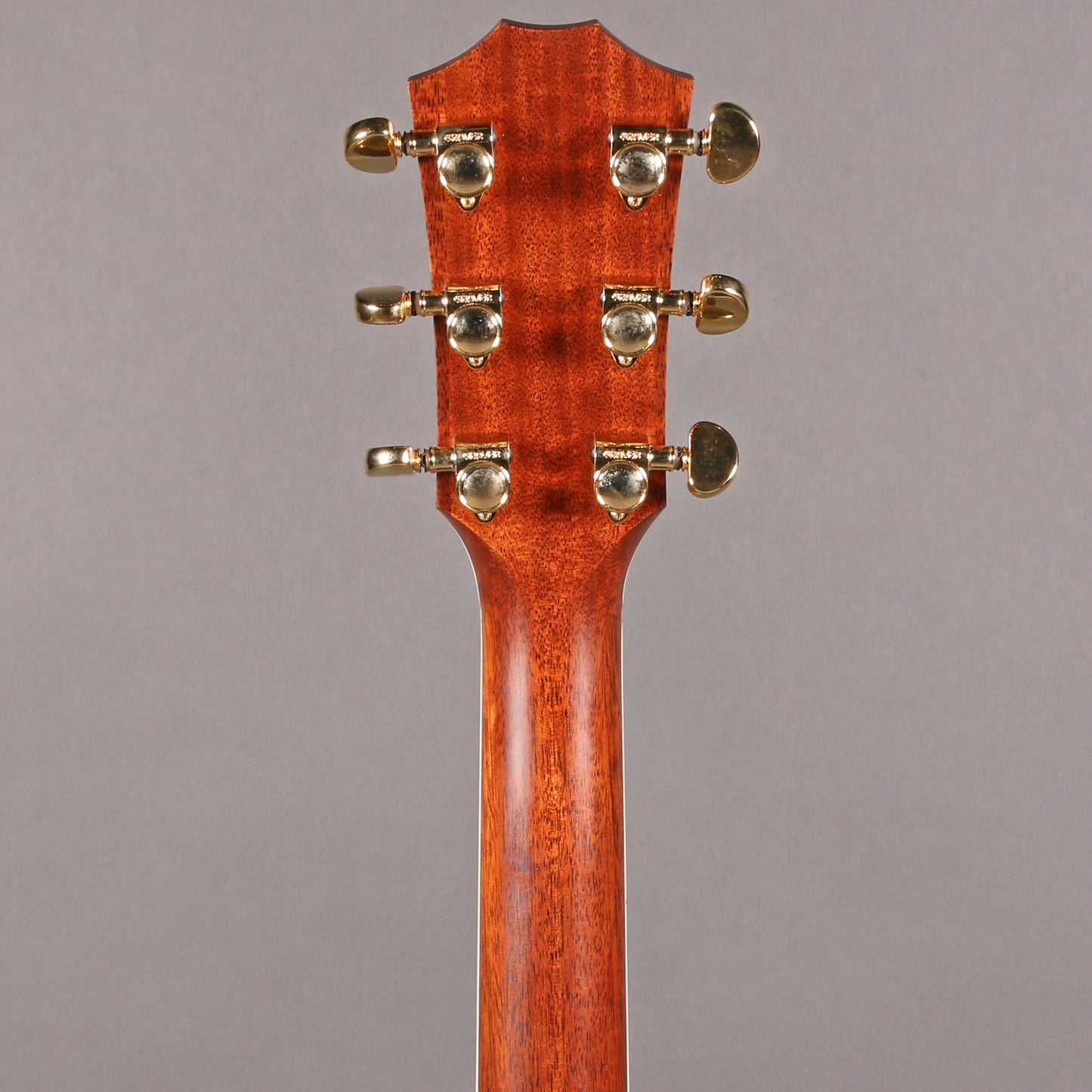 1998 Taylor 810 Natural