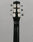1960s Dynelectron Bighorn