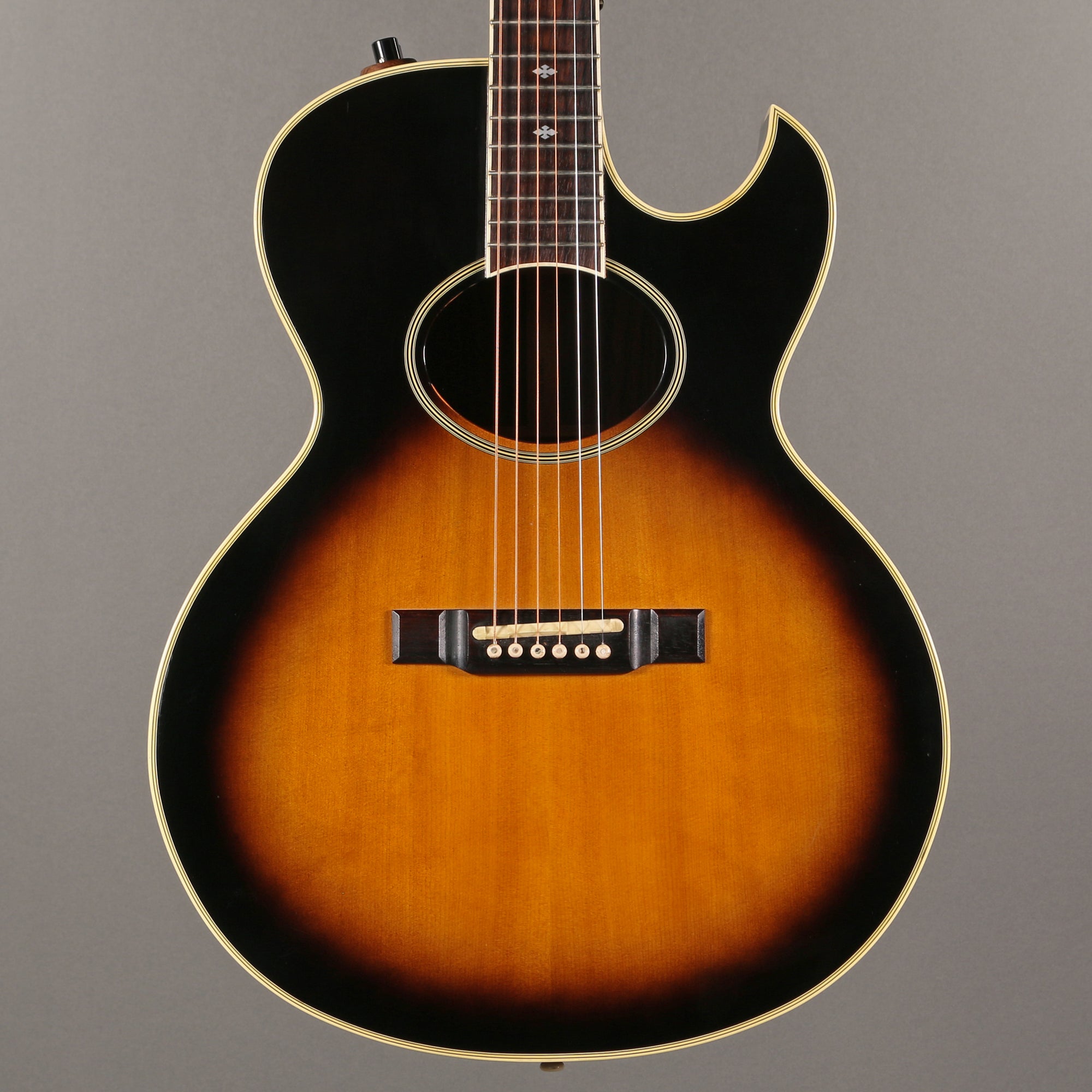 1982 Washburn Tanglewood