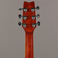 1982 Washburn Tanglewood