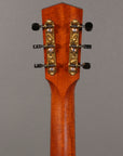 *HOLD* Waterloo WL-14LTR 14-Fret