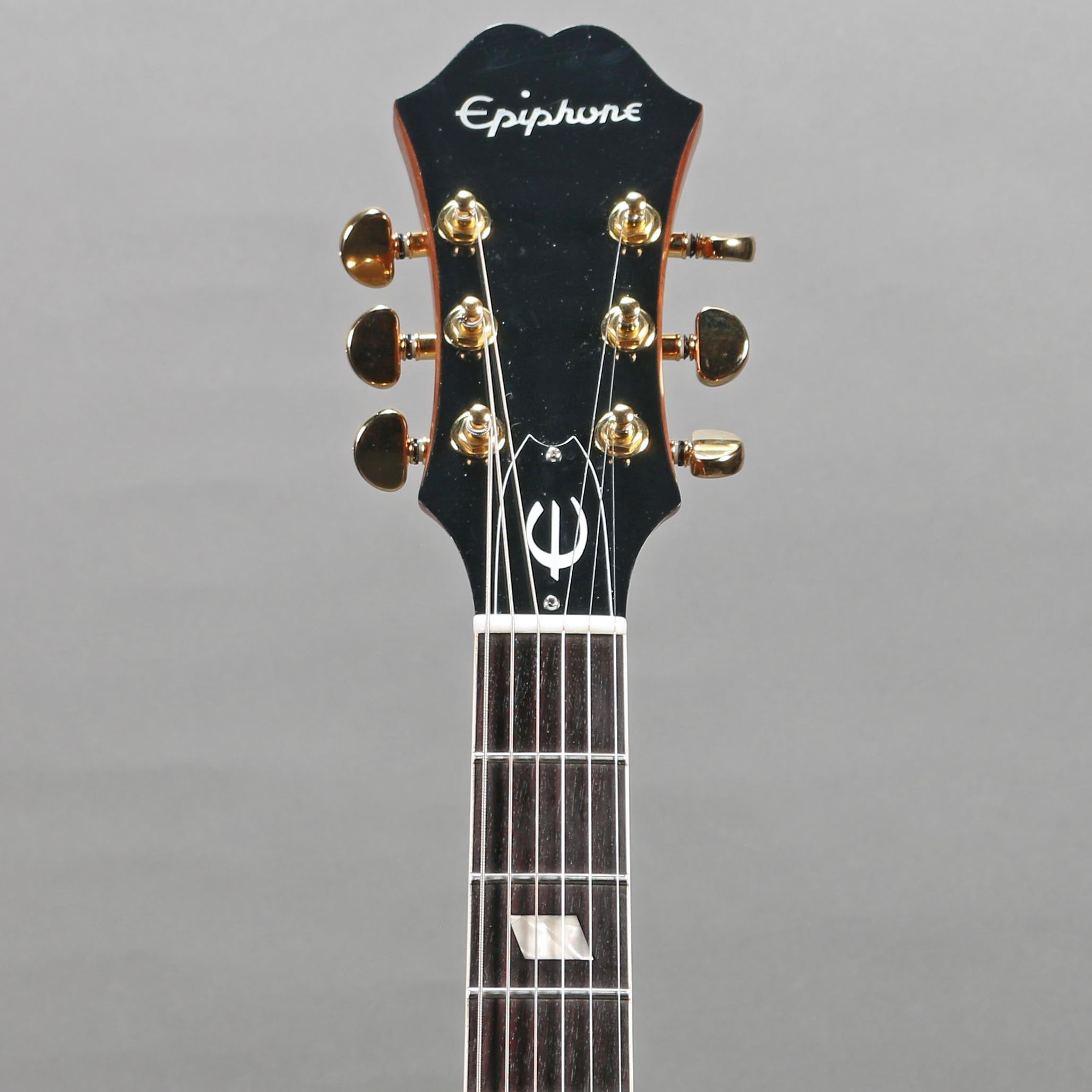 Epiphone LTD E230TD John Lennon “Revolution” Casino #389 of 1965