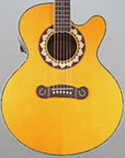 2011 Epiphone Joan Sebastian Signature "Triumfadora"