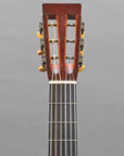 1893 Martin 2-20