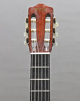 1970 Martin N-20