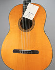 1970 Martin N-20