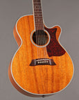 2004 Takamine TDP-100K-SP