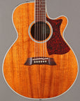 2004 Takamine TDP-100K-SP