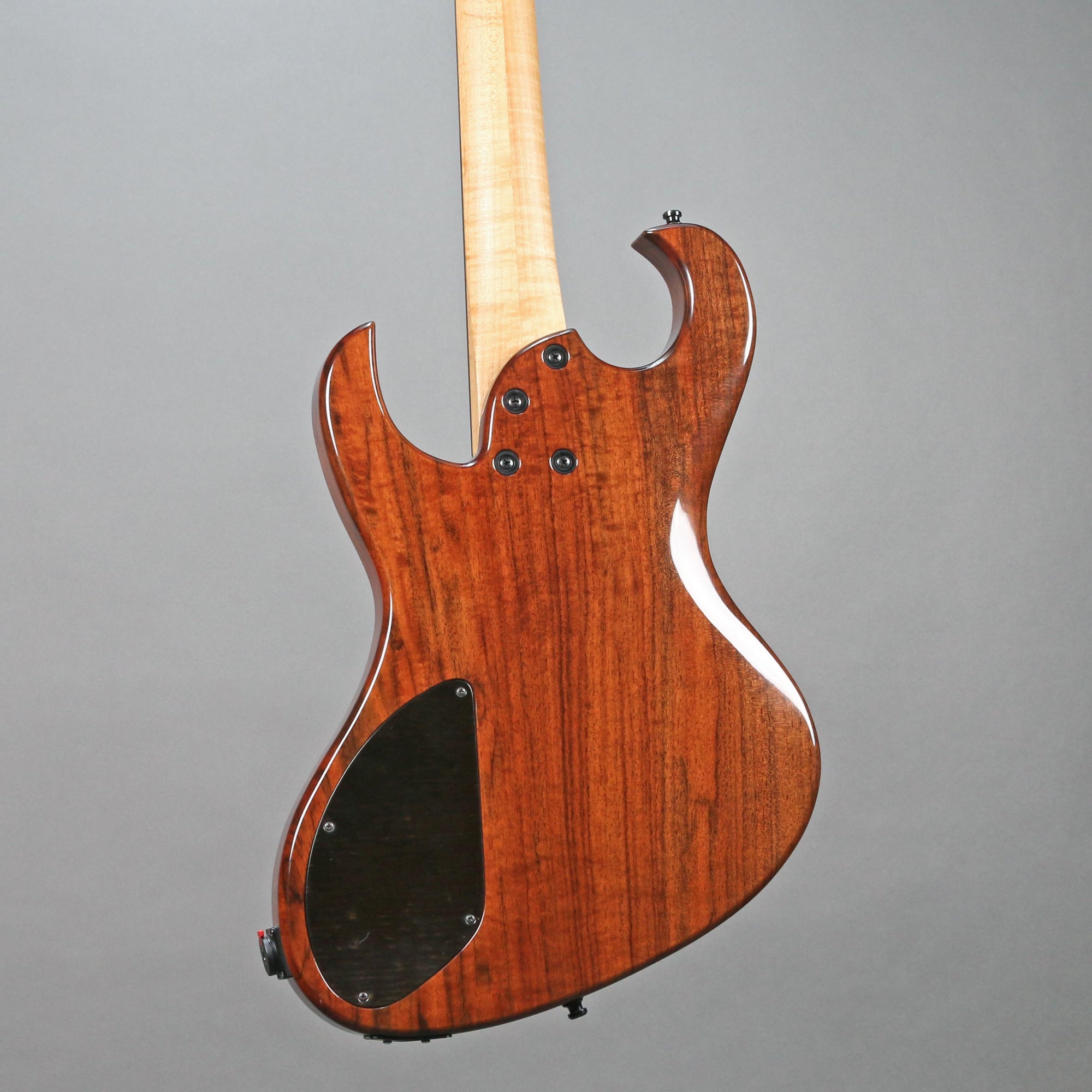 B.G.F John Payne Signature Bass