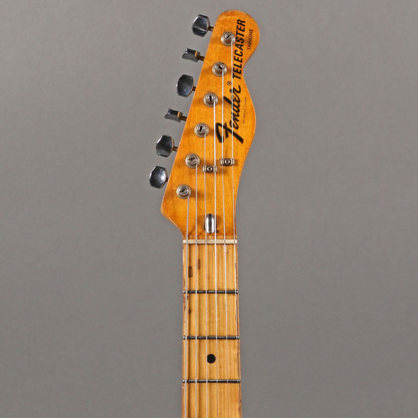 1975 Fender Telecaster Thinline [*Demo Video!]