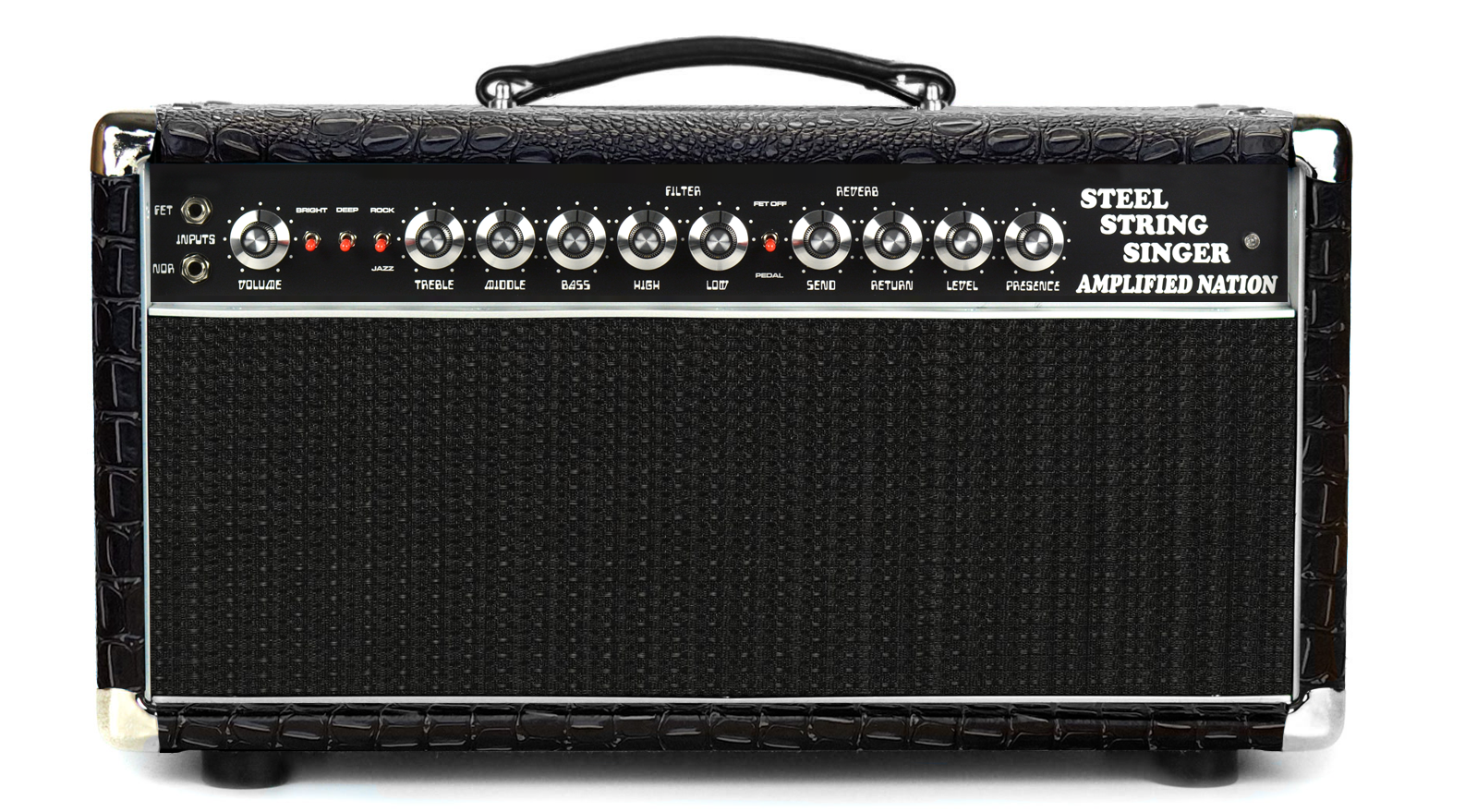 pedal steel amp Steel String Singer
